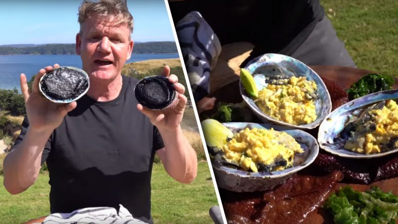 WATCH: Gordon Ramsay cooks Pāua scrambled eggs in New Zealand