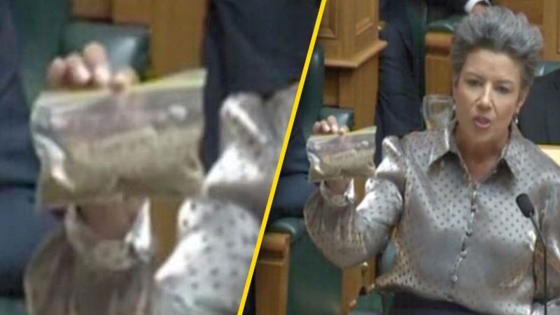 WATCH: Paula Bennett shocks Parliament by pulling out 14-gram baggie of 'weed'