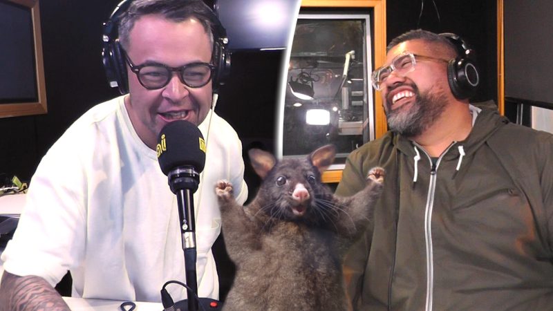Money Monster caller guesses an animal with 6 letters after the clue was 5