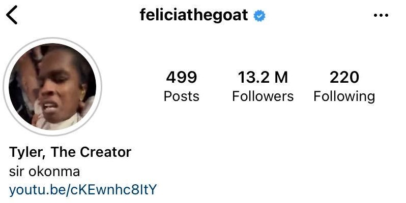 Tyler, The Creator's Instagram bio and profile picture