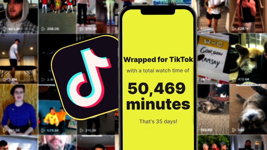 How to check out your TikTok Wrapped and see the crazy amount of hours