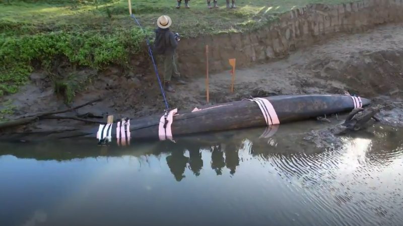 'Time to tell our story': Ancient waka found over 150 years after being 'hidden' by three iwi