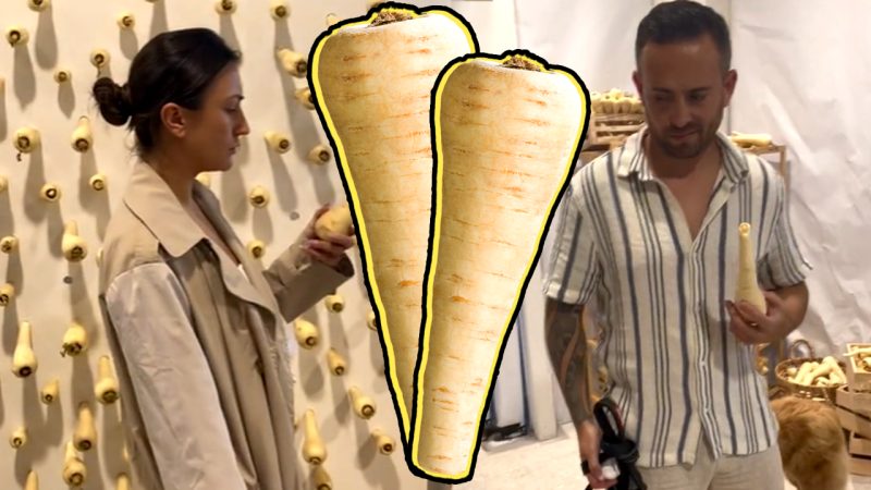 A parsnip pop-up shop in Auckland is wining people free flights, and we're super confused