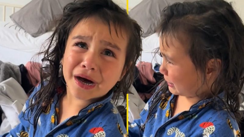 Heartbreaking TikTok of Māori toddler crying over speaking Te Reo shows why we must preserve it