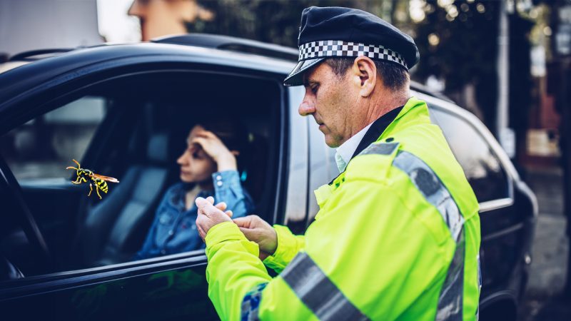 ‘Wasp On The Pedal’: NZ Police Share The Most Crack-Up Excuses For Speeding They’ve Heard